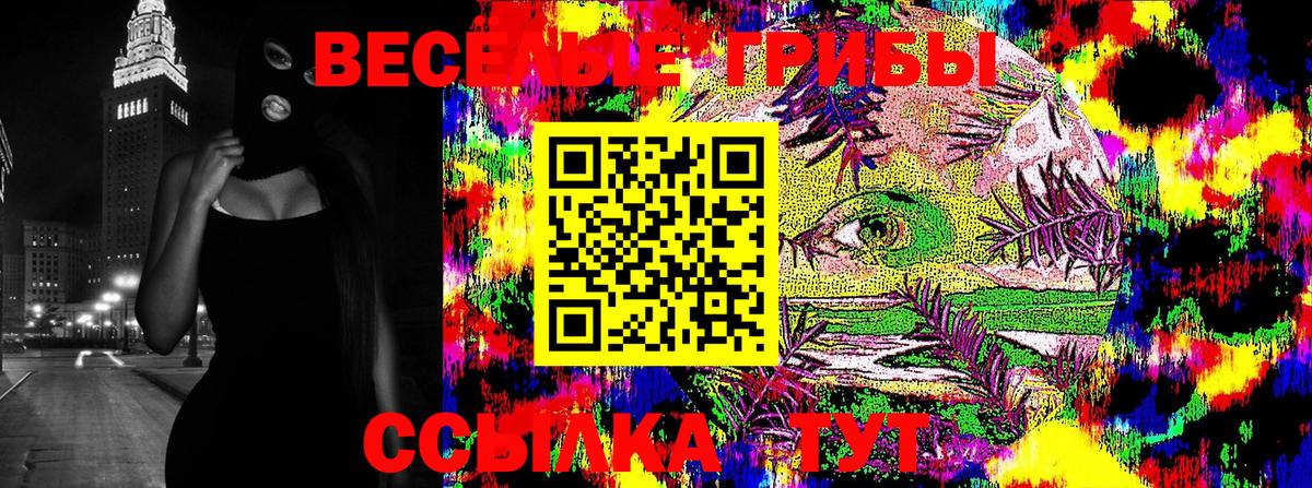 Псилоцибиновые грибы Psilocybe Шахты