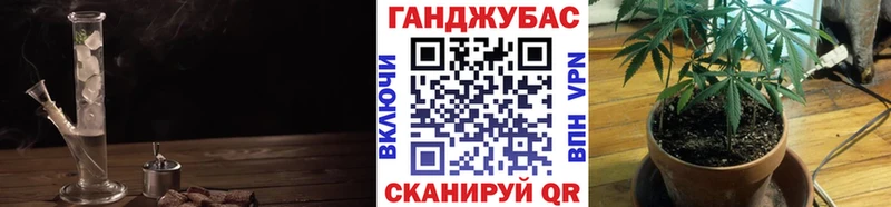 Канабис ГИДРОПОН Шахты